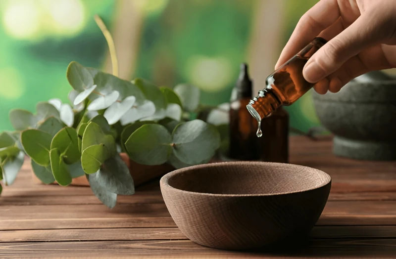 بهترین روغن برای خشکی زانو