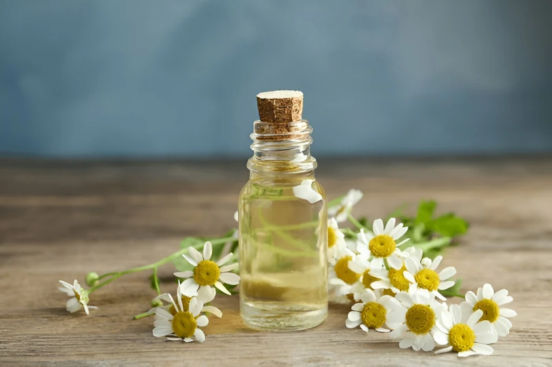 درمان سندروم پای بی‌قرار در طب سنتی - روعن بابونه